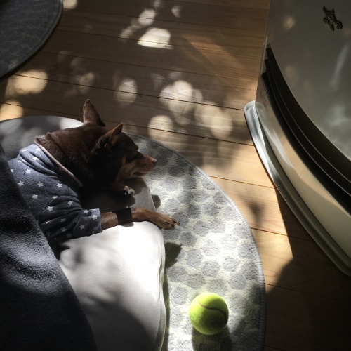 a0291132_14153775.jpeg