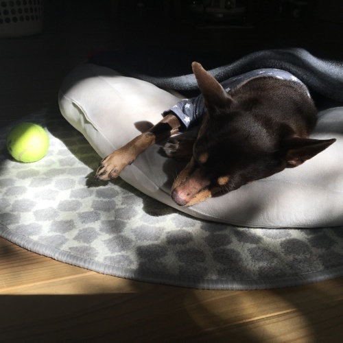 a0291132_14155550.jpeg