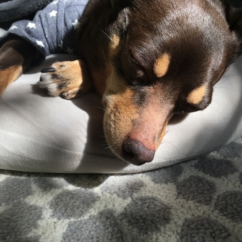 a0291132_14162816.jpeg