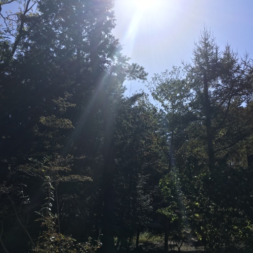 a0291132_14175567.jpeg