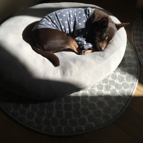 a0291132_14184890.jpeg