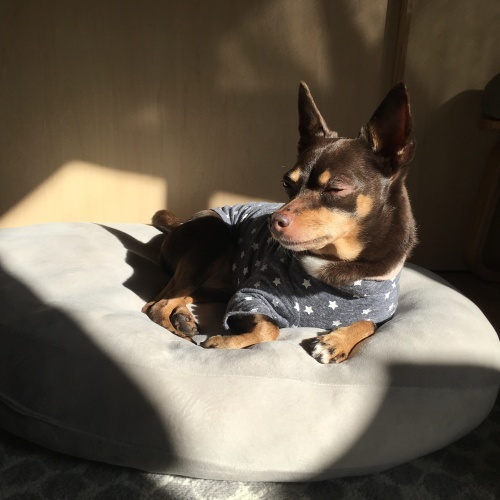 a0291132_14203341.jpeg