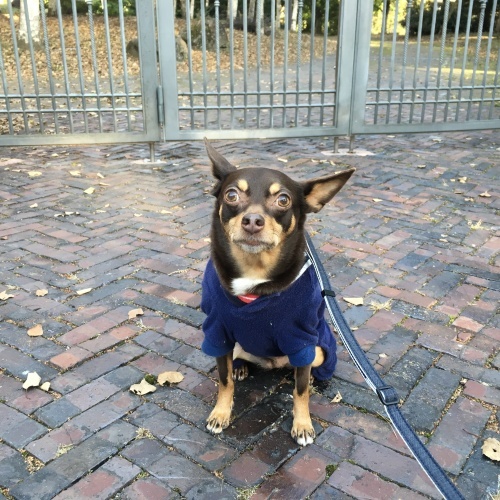 a0291132_14222971.jpeg
