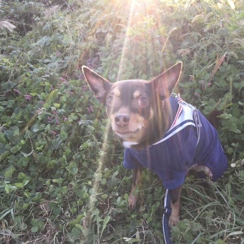 a0291132_14323658.jpeg