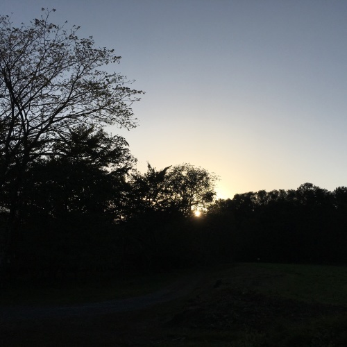 a0291132_14334020.jpeg