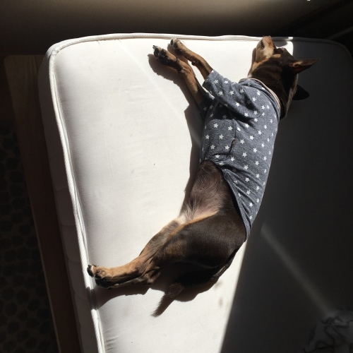 a0291132_14385440.jpeg
