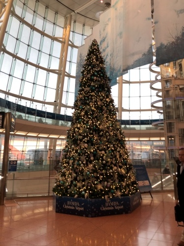 d0282139_12530266.jpeg
