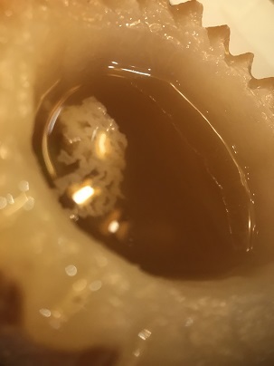 c0227640_07571159.jpg