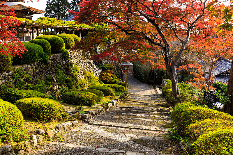 京の紅葉2018　鮮やかな境内・善峯寺（後編）_f0155048_22311334.jpg