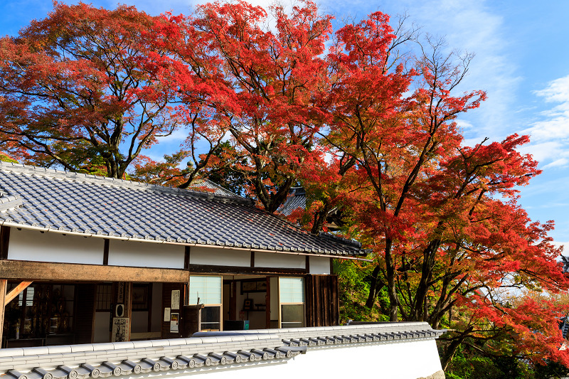 京の紅葉2018　鮮やかな境内・善峯寺（後編）_f0155048_22335859.jpg