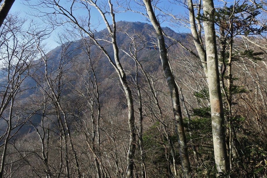a0286351_02595610.jpg