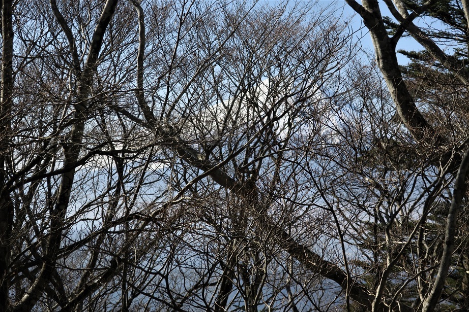 a0286351_03002878.jpg