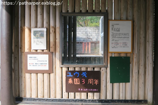 ２０１８年１２月　とくしま動物園　その２　ユウキ来園３周年_a0052986_903325.jpg