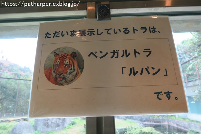 2018年12月 とくしま動物園 その2 ユウキ来園3周年_a0052986_9253512.jpg