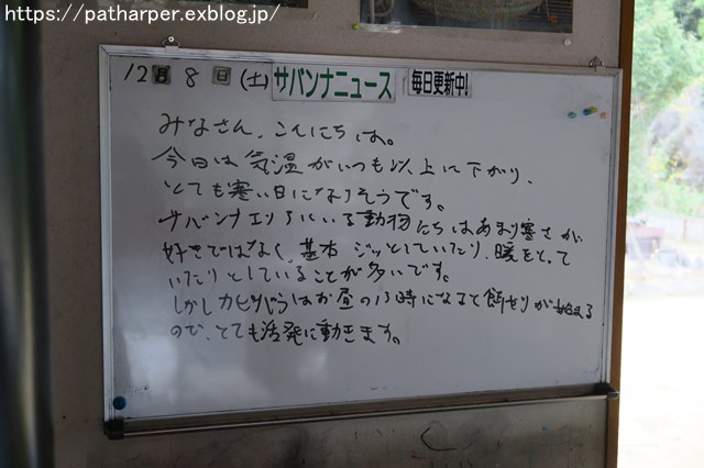 2018年12月 とくしま動物園 その2 ユウキ来園3周年_a0052986_926137.jpg