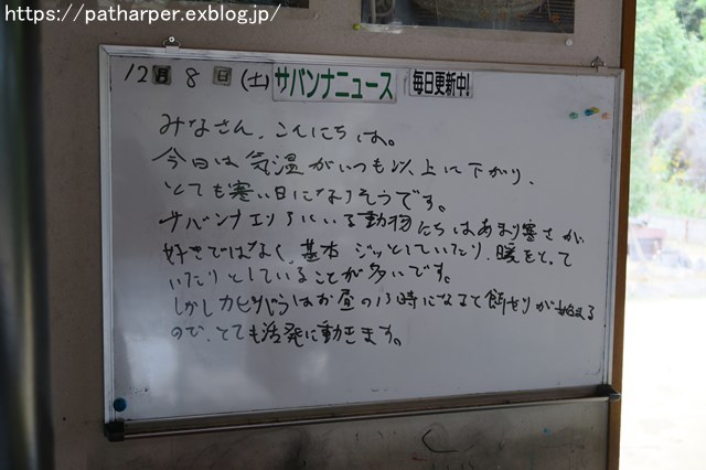 ２０１８年１２月　とくしま動物園　その２　ユウキ来園３周年_a0052986_926137.jpg