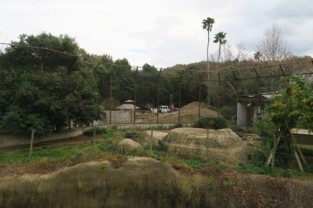 2018年12月 とくしま動物園 その2 ユウキ来園3周年_a0052986_926513.jpg