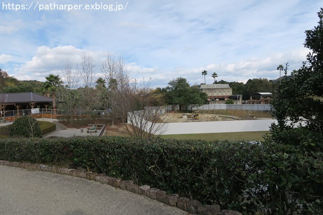 2018年12月 とくしま動物園 その2 ユウキ来園3周年_a0052986_9271569.jpg