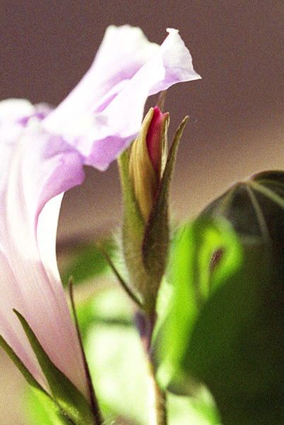 c0386291_19311217.jpg