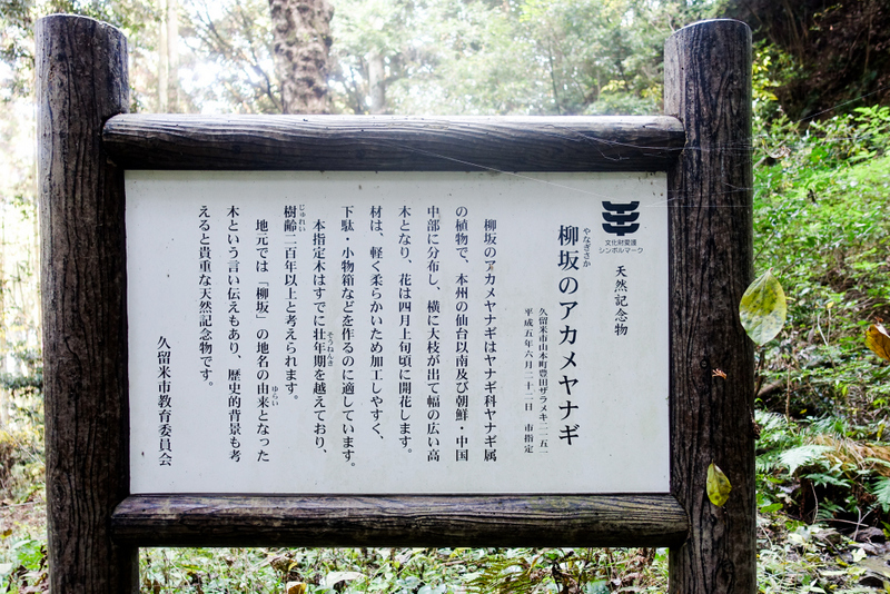 e0176993_09265945.jpg