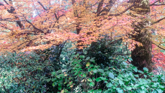 e0176993_09270093.jpg