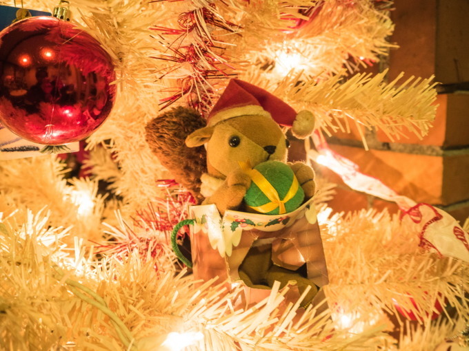 白いクリスマスツリーとエゾリス君(ホンモノ)がコラボ!_f0276498_14052510.jpg