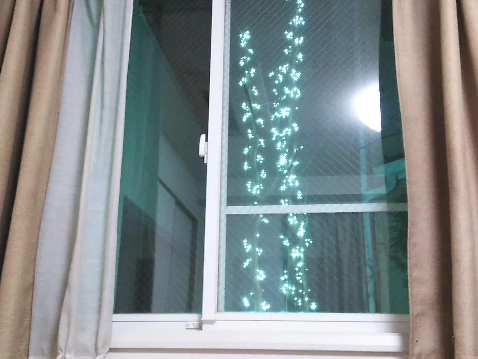 メリークリスマス♪_b0331802_21175560.jpg