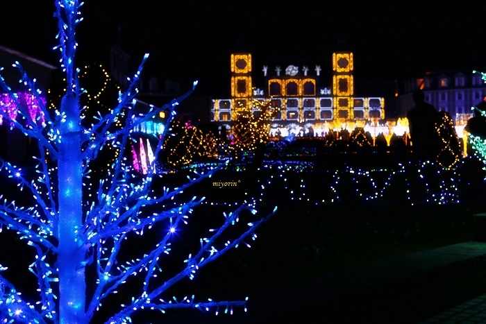 a0123003_11022269.jpg