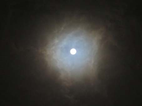 f0014205_10163478.jpg