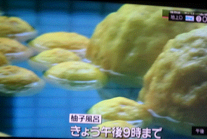f0231709_19000484.gif