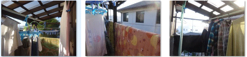 f0231709_19014482.gif