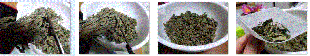 f0231709_22160993.gif
