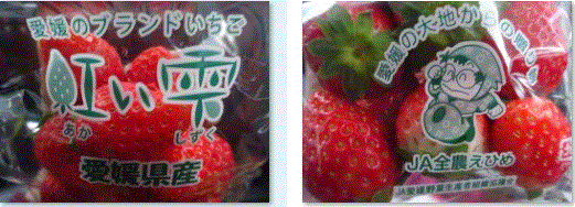 f0231709_23165758.gif