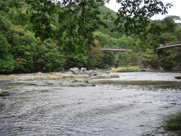 c0074721_14110551.jpg