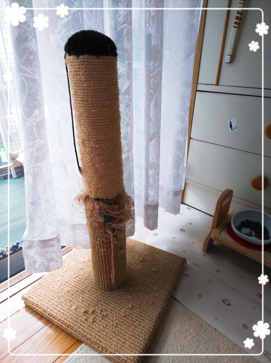 おNewの爪研ぎ_d0233224_13431686.jpg