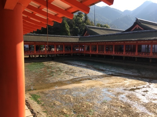 b0004229_16342896.jpeg