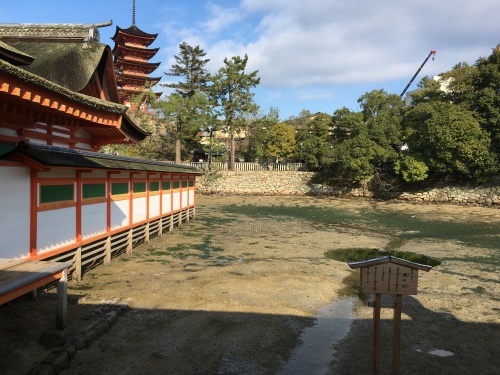 b0004229_16353427.jpeg