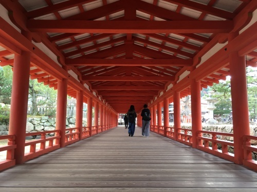 b0004229_16382876.jpeg