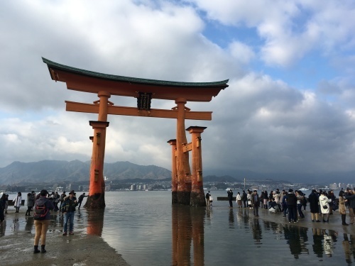 b0004229_16431674.jpeg