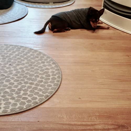 a0291132_20460112.jpeg