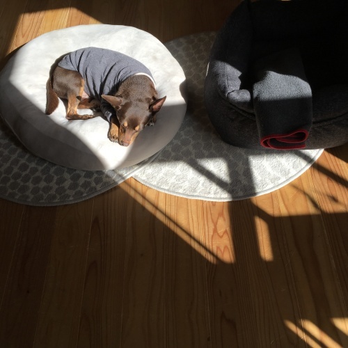 a0291132_20463318.jpeg