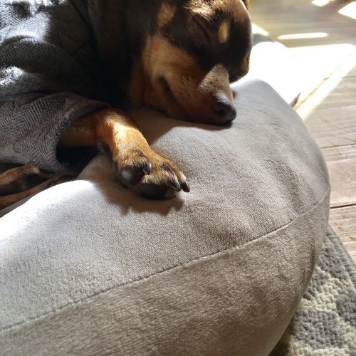 a0291132_20471234.jpeg