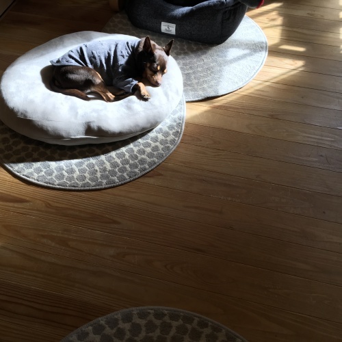 a0291132_20472378.jpeg