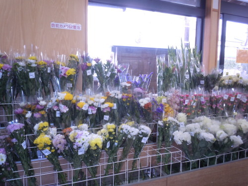 f0227432_11072295.jpg