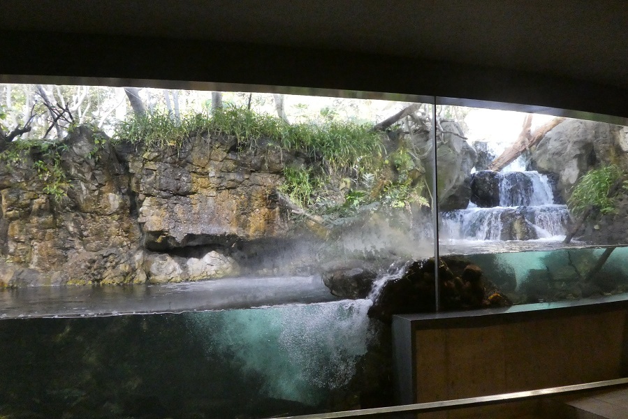 d0288144_13321940.jpg