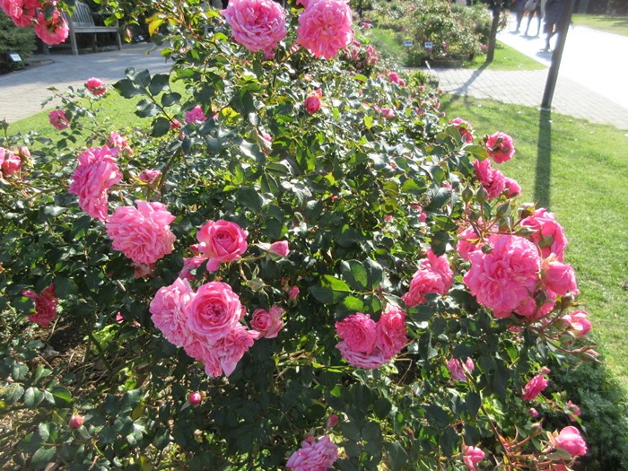 b0009849_10513847.jpg