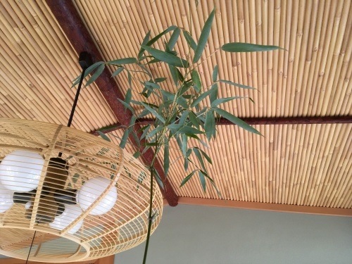 a0152454_21152249.jpeg