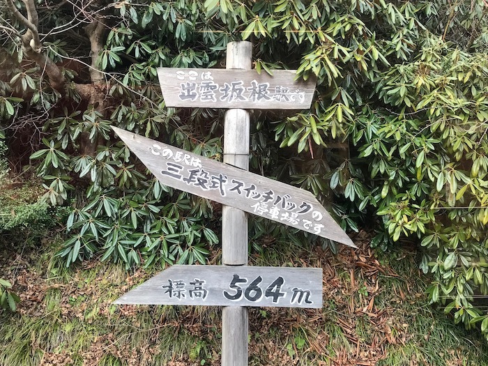 b0069156_14202517.jpeg