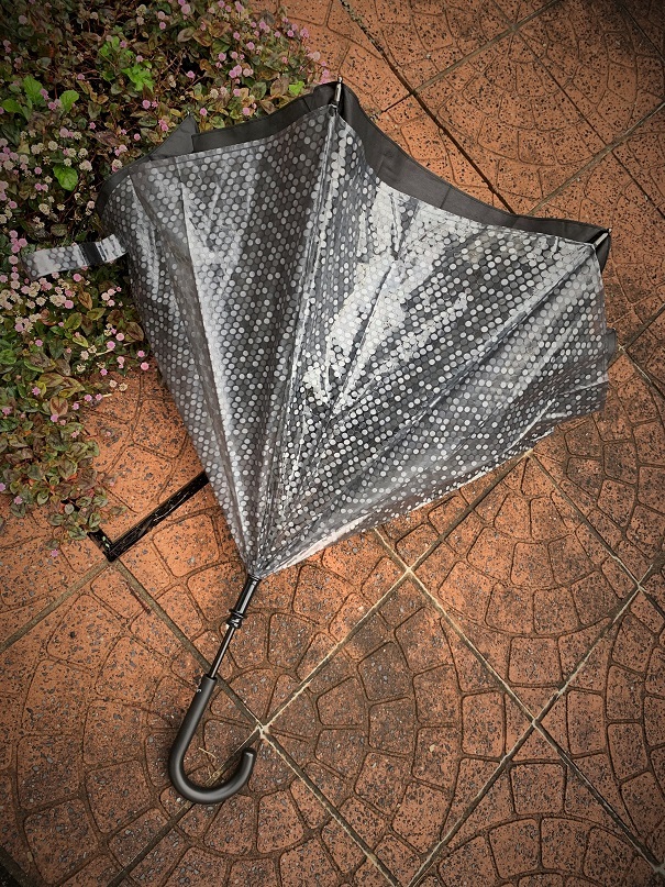 d0146758_17175335.jpg