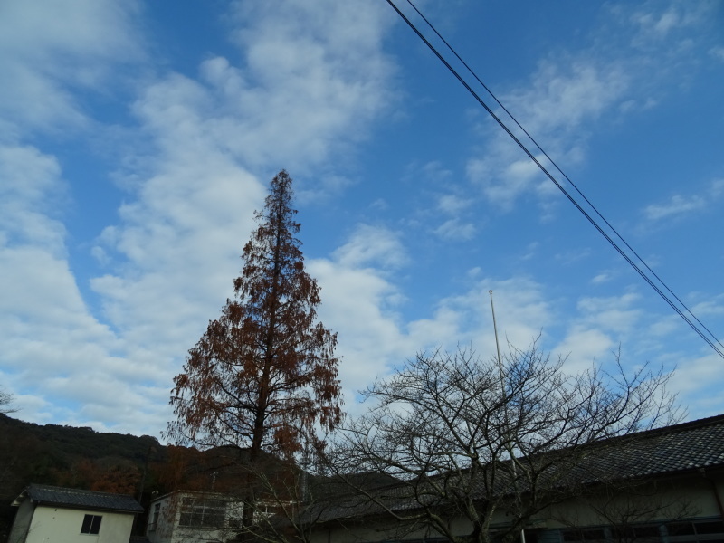 孝子の森で「交流忘年会」_c0108460_18192935.jpg